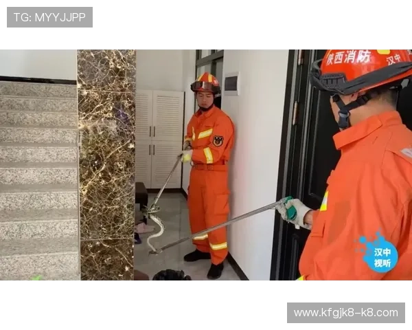 K8亚洲登陆常见安全风险及应对策略详解