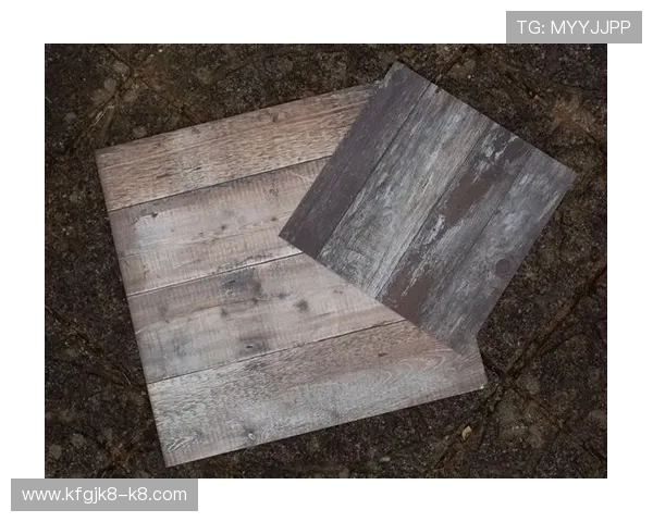 k8凯发网址最新安全登录入口推荐，确保玩家游戏体验零风险